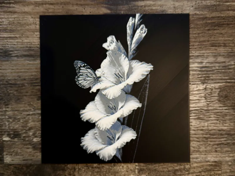 Gladiolus Flower Series