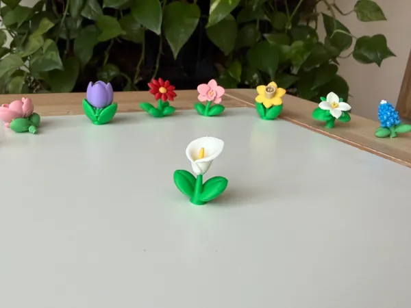 https://makerworld.bblmw.com/makerworld/model/USea2984e94cab22/design/f9078d459c828041.jpeg