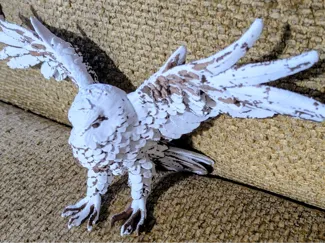 Snowy Owl (Bubo scandiacus)