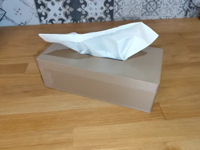 Classic ZZ-Fold Paper Towel/Tissue Dispenser