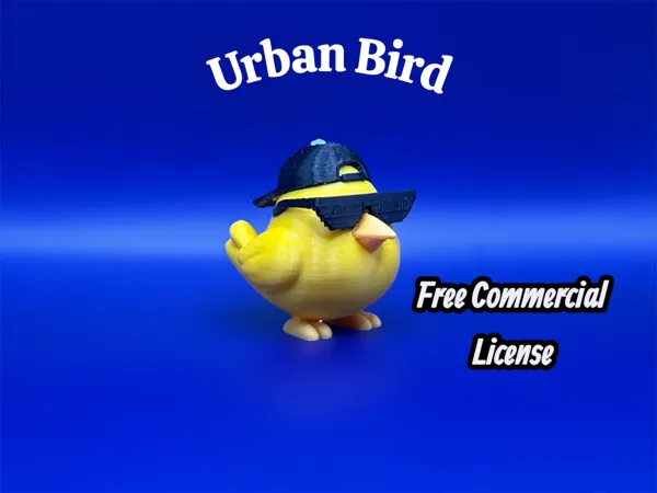 Oiseau urbain multicolore