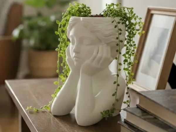https://makerworld.bblmw.com/makerworld/model/USea3af897deb894/design/2e235ffbd50b6d69.jpeg