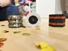 All 3 Fidgets on 1 Plate - 4 Colors - AMS recommended