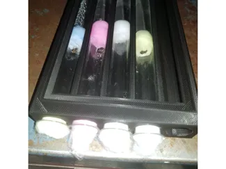 Ant test tube holder with lid Wide Version