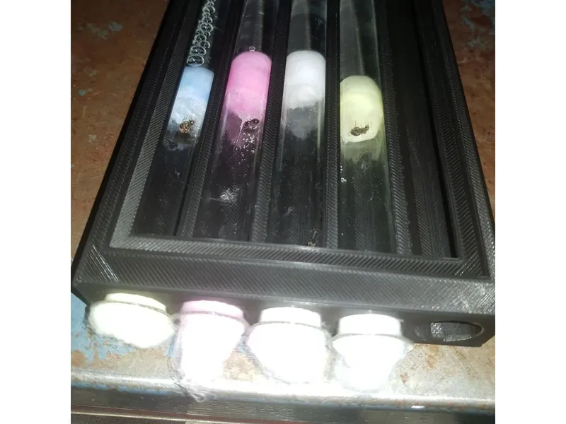 Ant test tube holder with lid Wide Version