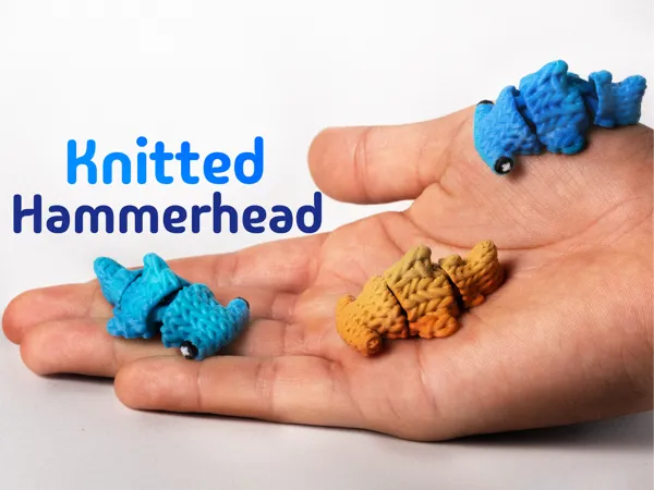 https://makerworld.bblmw.com/makerworld/model/USea436cbebc03ff/design/2025-06-04_110aeae82e736.jpg