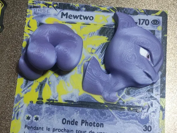 https://makerworld.bblmw.com/makerworld/model/USea4614f2a73526/design/2025-06-02_1f130d4dd64498.jpg