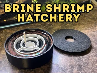 Brine shrimp hatchery dish