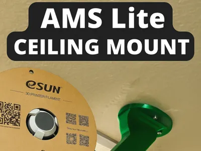 AMS Lite ceiling mount
