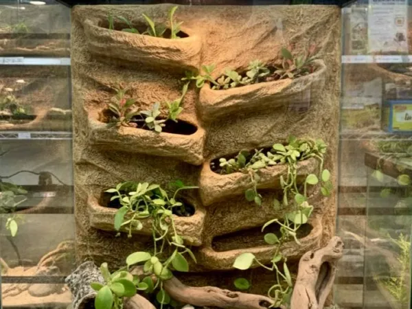https://makerworld.bblmw.com/makerworld/model/USea4e44a2678eb6/design/2025-11-18_fad7a49b5960e8.jpg