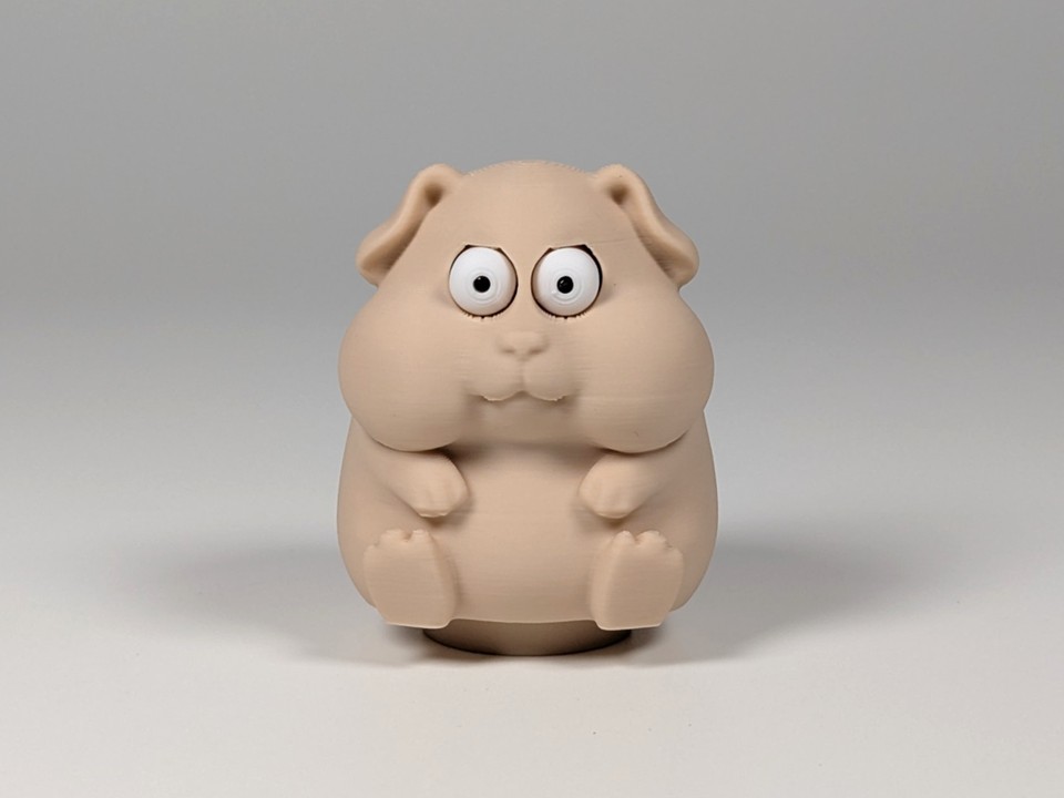 Pop-Eyed Greedy Guinea Pig - 1