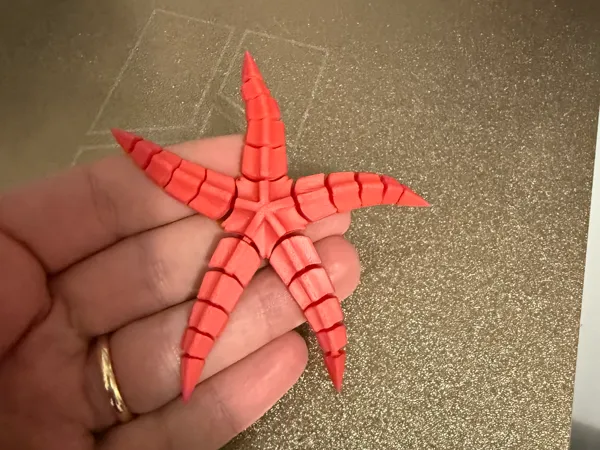 https://makerworld.bblmw.com/makerworld/model/USea52584863329a/design/2025-10-10_0e4c3801df2558.jpg