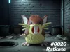 Raticate General Configuration