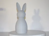 0.2mm layer, 2 walls, 10% infill