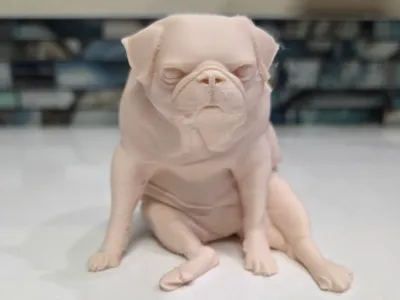 Pug Life