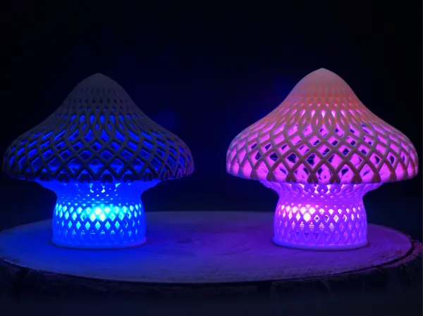 https://makerworld.bblmw.com/makerworld/model/USea5b711cd7cd4f/design/2024-12-23_c555b8fe5cff7.jpg