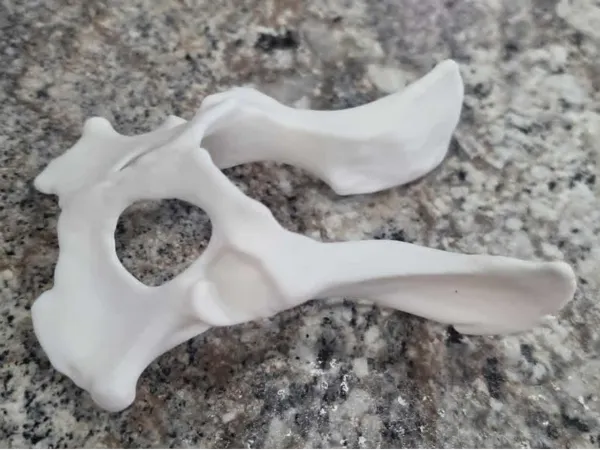 https://makerworld.bblmw.com/makerworld/model/USea6135e473f646/design/468439321df6cf70.jpg