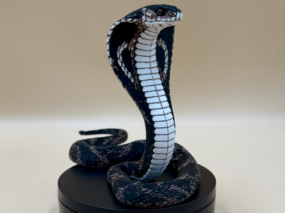 King Cobra (Ophiophagus hannah)