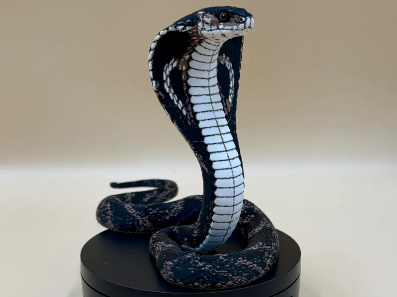 King Cobra (Ophiophagus hannah)