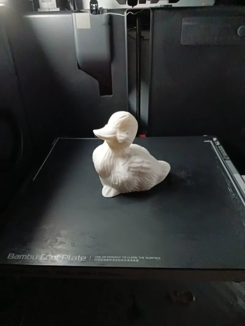 Duck