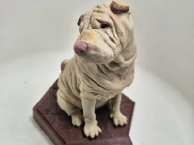 Shar Pei