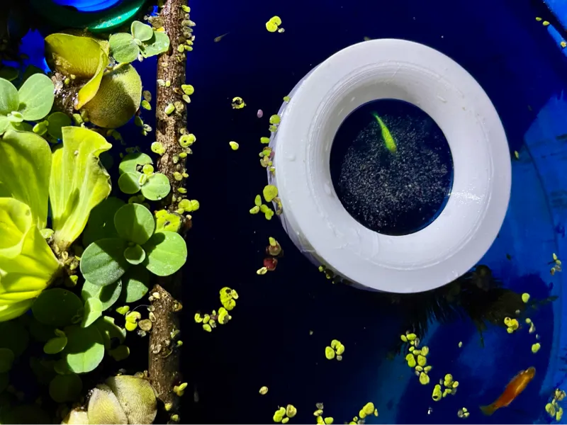 FLOATING FISH FEEDER BY MELS 3D LABS