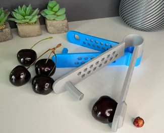 Cherry Seed Removal tool