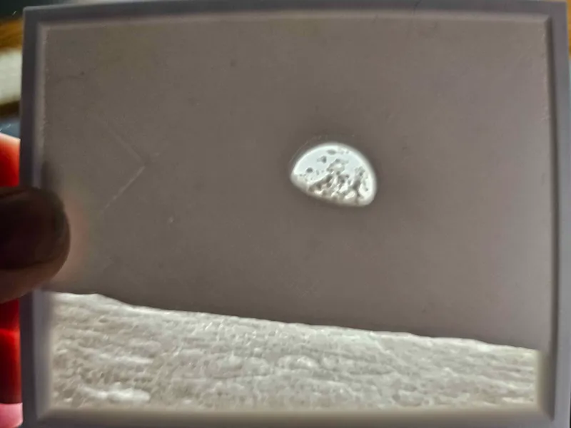Earth from the Moon