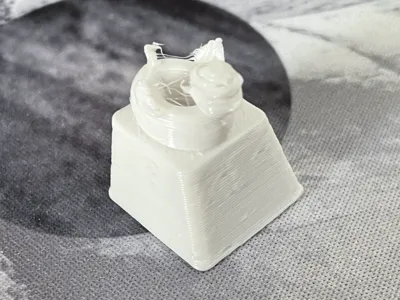 duck keycap
