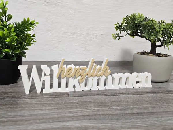 https://makerworld.bblmw.com/makerworld/model/USea7d06fb0bab0c/design/2025-11-09_cf6daa7a48401.jpg