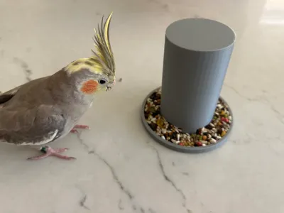 Bird Feeder