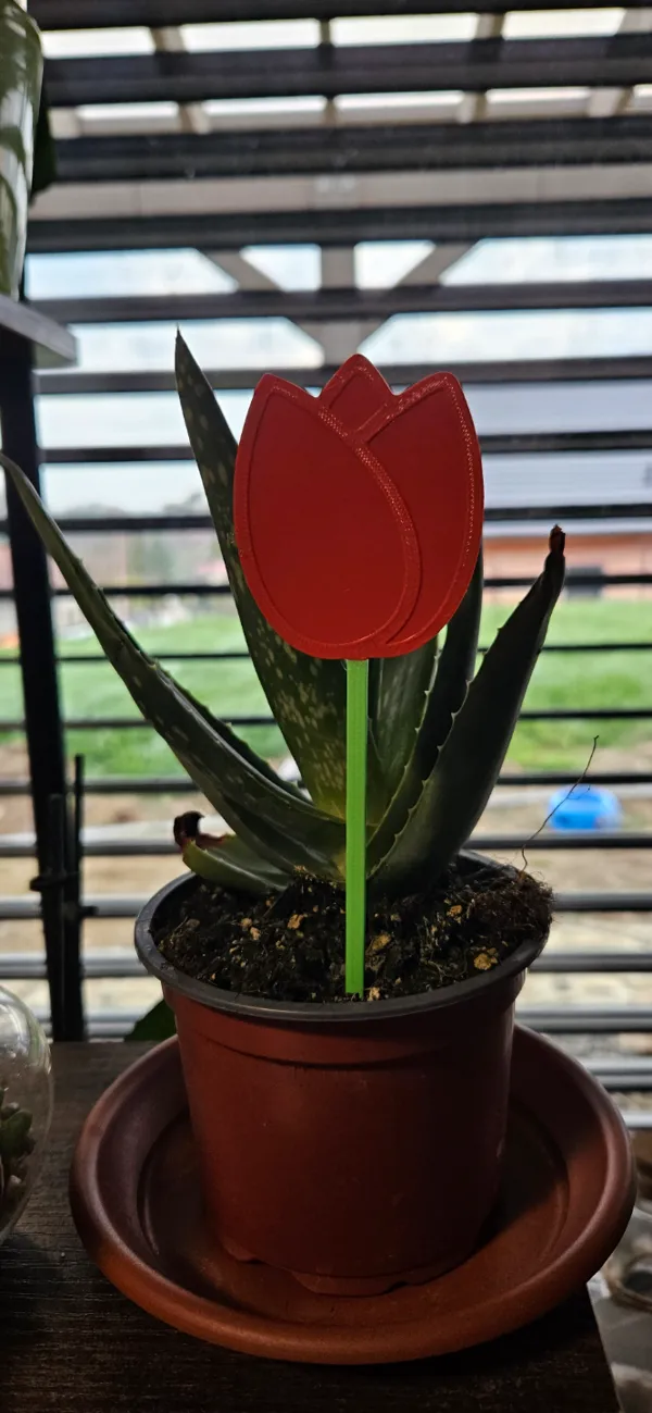 https://makerworld.bblmw.com/makerworld/model/USea81fa9aa0ca05/design/2024-03-27_0fc483073b3a5.jpg
