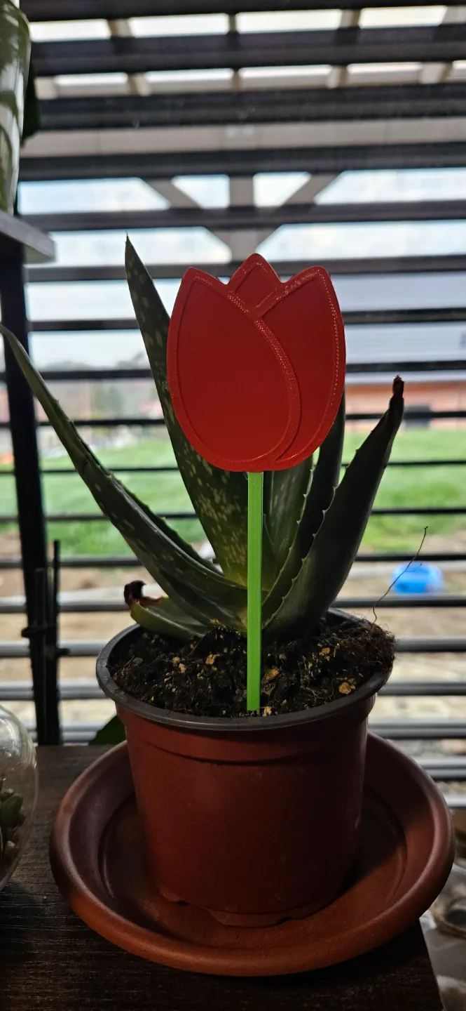 Tulip pot decoration