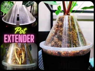 Pot Extender for aroids