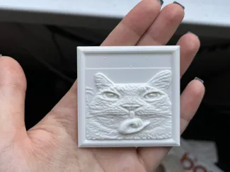 Bulgarian STFU Cat
