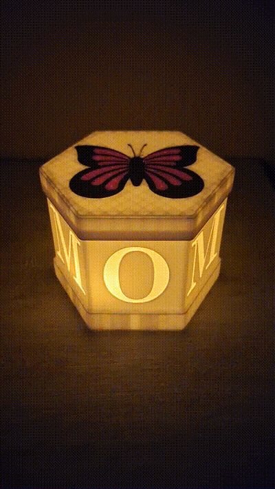https://makerworld.bblmw.com/makerworld/model/USea8ff25d740562/design/2024-04-28_a797849a85e8f.gif