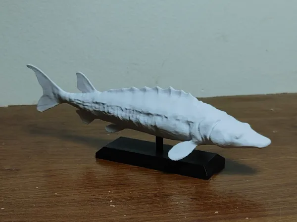 https://makerworld.bblmw.com/makerworld/model/USea942683c51d23/design/2024-12-07_817a36f6aca98.jpg