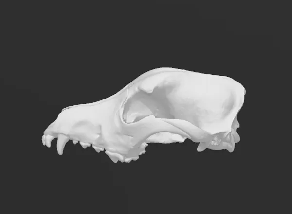 https://makerworld.bblmw.com/makerworld/model/USea95ffe78a9c4b/design/2024-03-03_a39e71d2db9dc.png