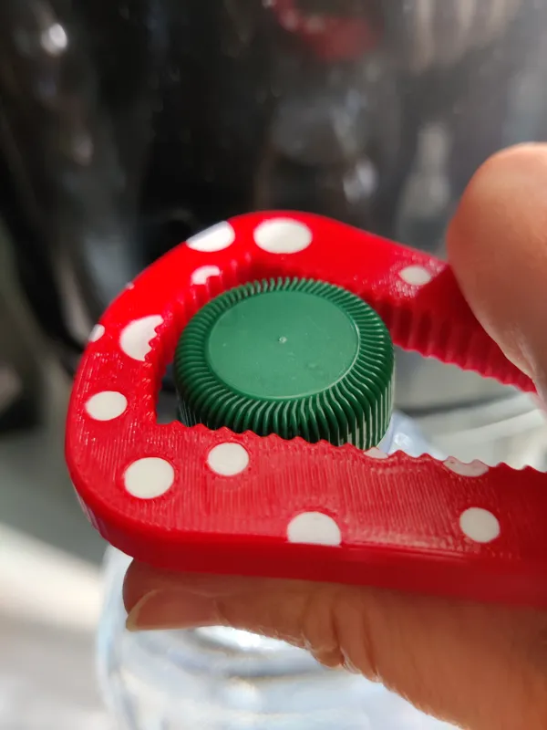 https://makerworld.bblmw.com/makerworld/model/USea96a86b8bbe4c/design/2024-07-06_h6475if3nzei.jpg