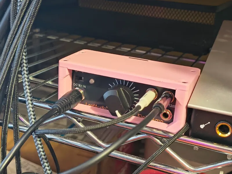 Small Case of Leaf Audio Field Amp