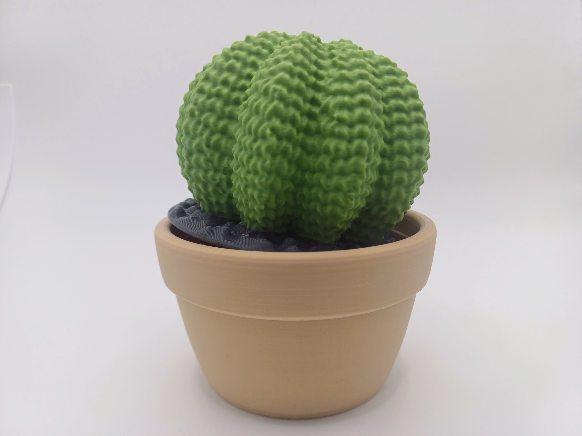 Miniatura 1 do modelo 3D Candy Storage Cactus
