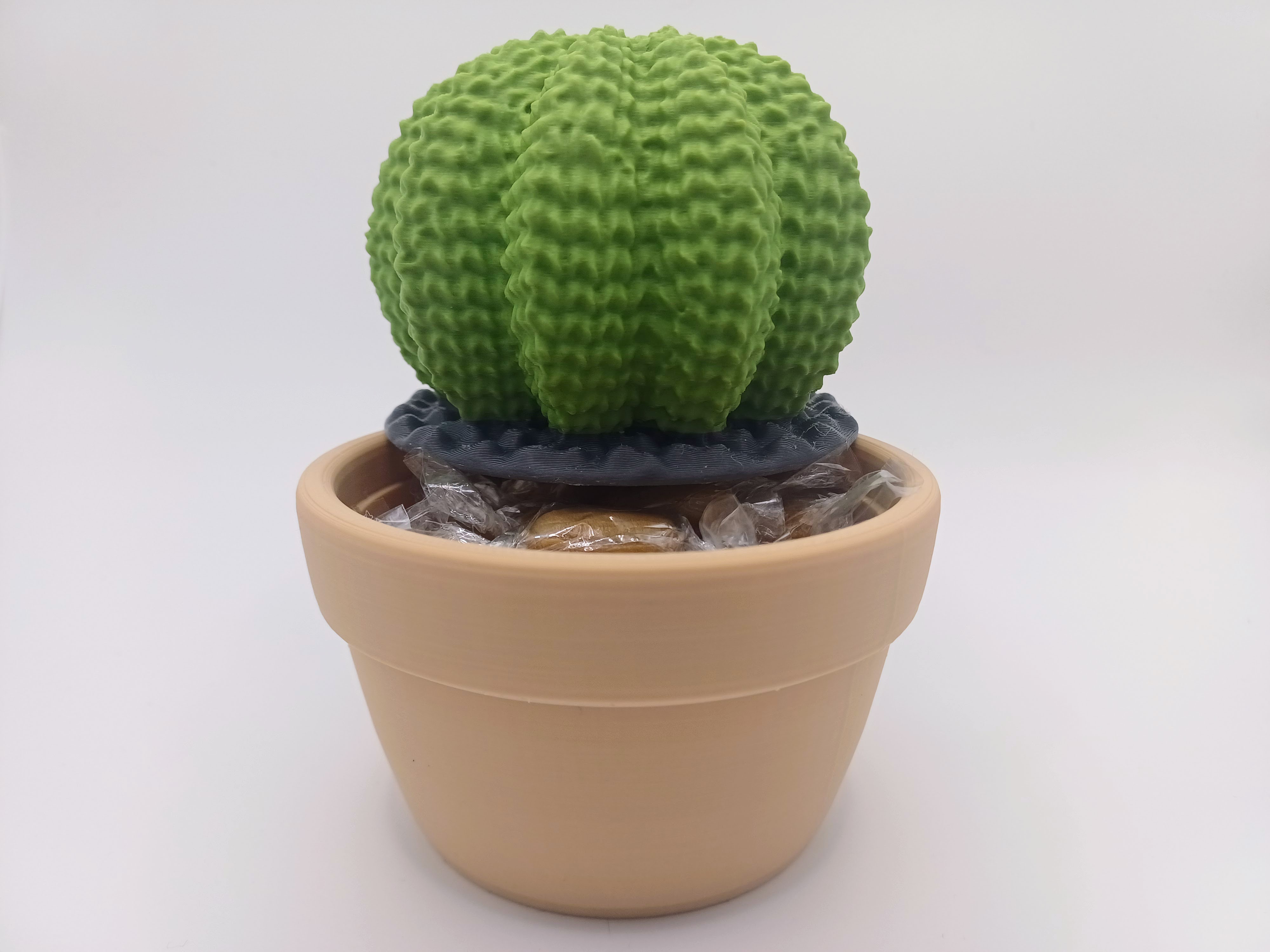 Miniatura 2 do modelo 3D Candy Storage Cactus