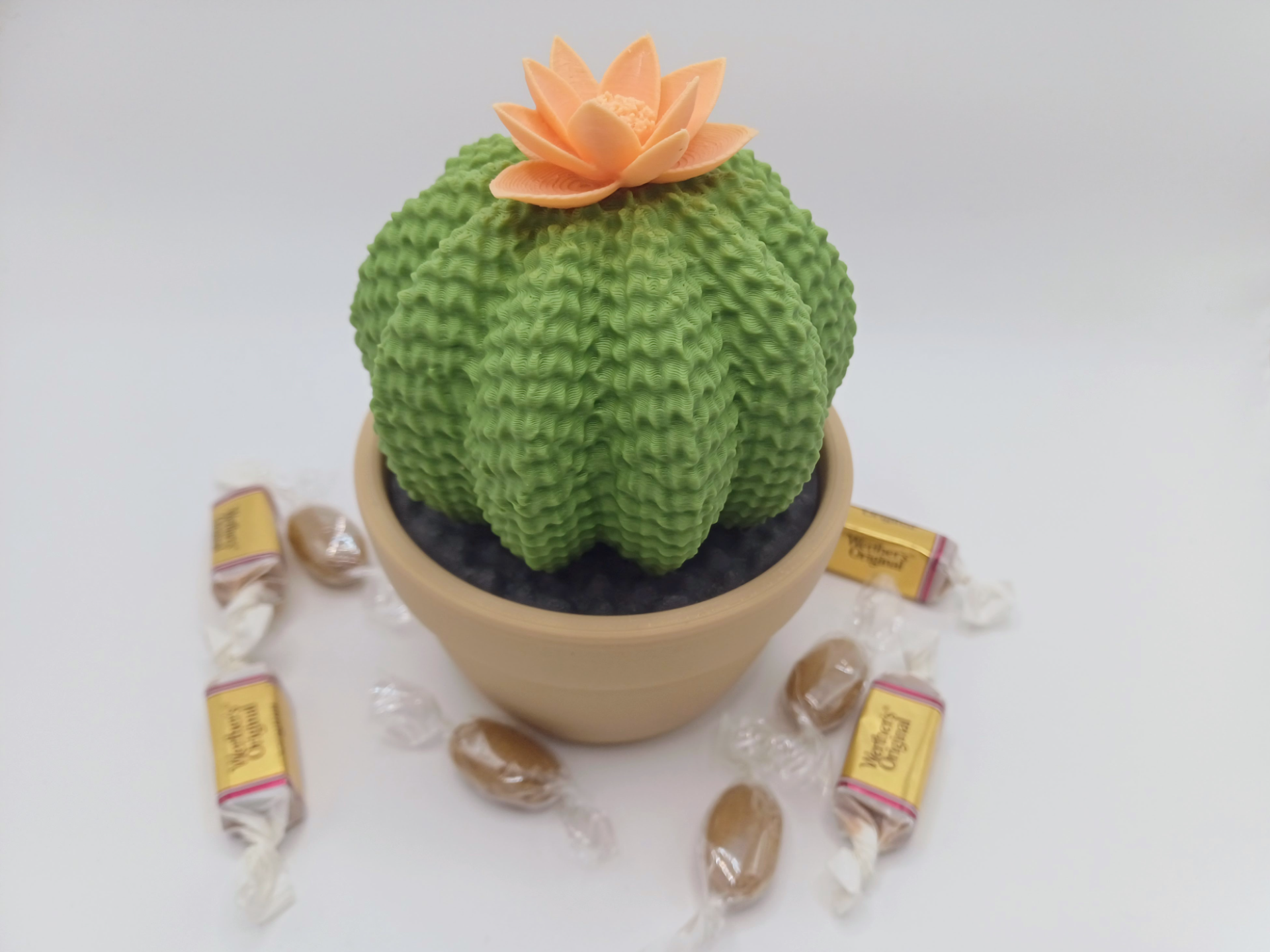 Candy Storage Cactus