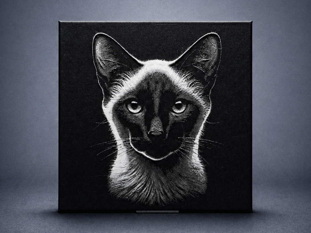 Siamese cat
