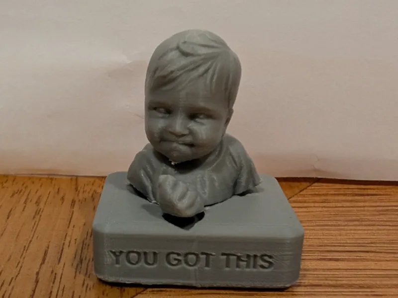 Baby Meme - Success Kid