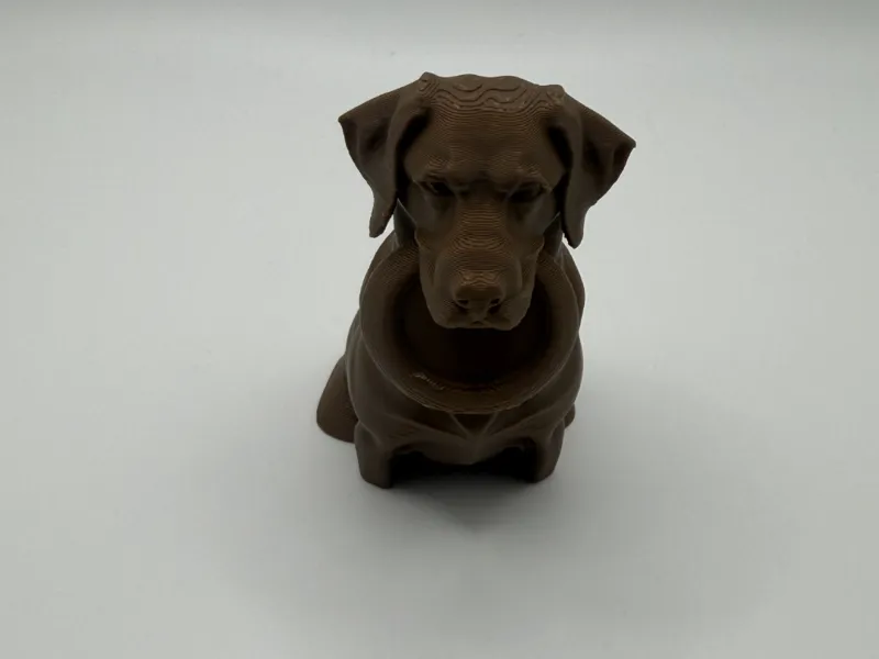 Dog with Frisbee