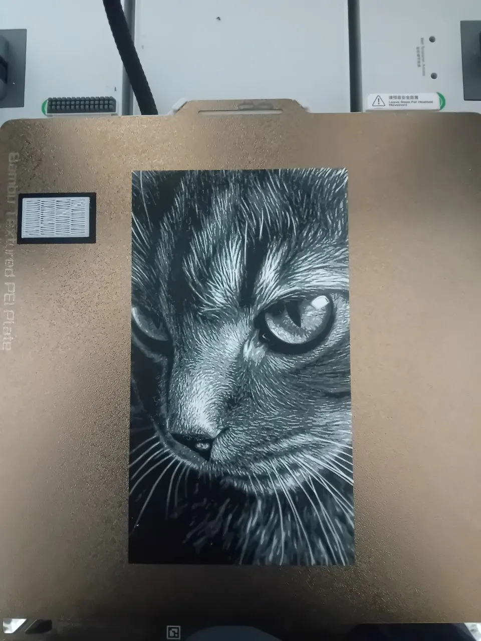Cat Face Hueforge - Free 3D Print Model - MakerWorld