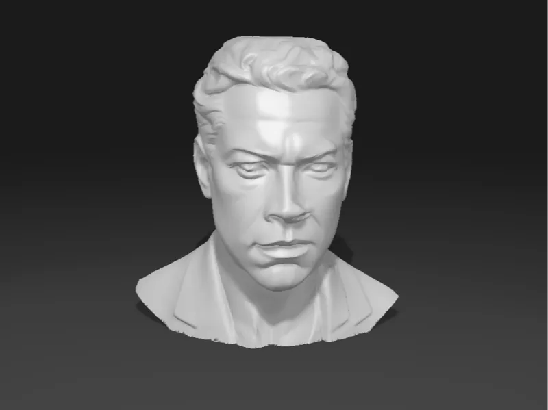 Head of Man Bust