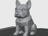 0.08mm layer, 2 walls, 15% infill