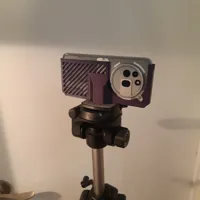 No Case